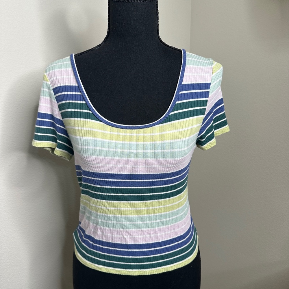American Eagle Outfitters Pastel Striped Crop Top